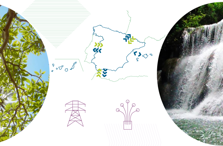 The Spanish Electricity System. Preliminary report - Forecasting data 2019